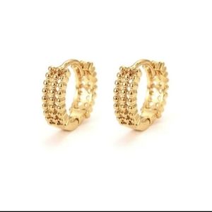 New Gorjana Earrings